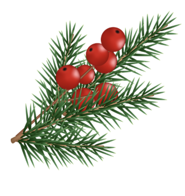 christmas holly