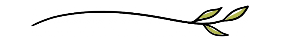 divider
